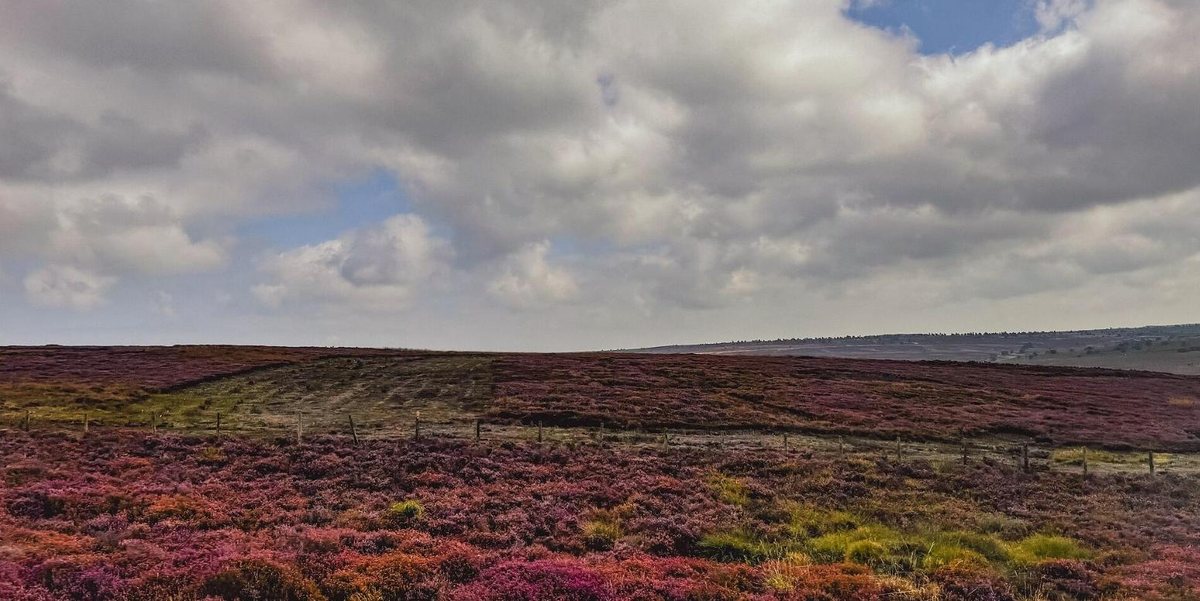 North York Moors